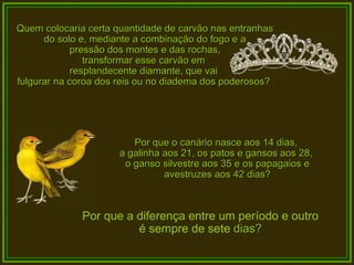 Quem colocaria certa quantidade de carvão nas entranhas do solo e, mediante a combinação do fogo e a pressão dos montes e das rochas,  transformar esse carvão em  resplandecente diamante, que vai  fulgurar na coroa dos reis ou no diadema dos poderosos?  Por que o canário nasce aos 14 dias,  a galinha aos 21, os patos e gansos aos 28,  o ganso silvestre aos 35 e os papagaios e avestruzes aos 42 dias? Por que a diferença entre um período e outro  é sempre de sete  dias?  