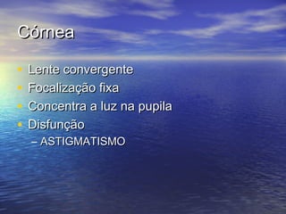 Córnea

•   Lente convergente
•   Focalização fixa
•   Concentra a luz na pupila
•   Disfunção
    – ASTIGMATISMO
 