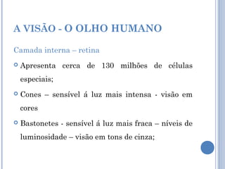 A VISÃO - O OLHO HUMANO 
Camada interna – retina 
 Apresenta cerca de 130 milhões de células 
especiais; 
 Cones – sensível á luz mais intensa - visão em 
cores 
 Bastonetes - sensível á luz mais fraca – níveis de 
luminosidade – visão em tons de cinza; 
 
