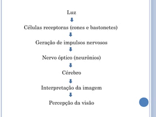 Luz 
Células receptoras (cones e bastonetes) 
Geração de impulsos nervosos 
Nervo óptico (neurônios) 
Cérebro 
Interpretação da imagem 
Percepção da visão 
 