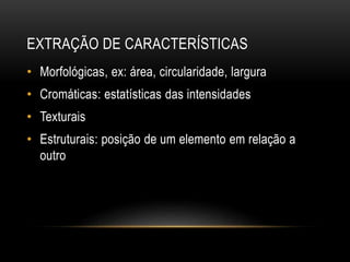 EXTRAÇÃO DE CARACTERÍSTICAS
• Morfológicas, ex: área, circularidade, largura
• Cromáticas: estatísticas das intensidades
• Texturais
• Estruturais: posição de um elemento em relação a
outro
 
