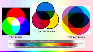 TRICROMIA
QUADRICROMIA
TETRACROMIA
 