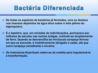  De todas as espécies de bactérias já formadas, uma se destaca
nos imensos depósitos de água doce sobre o leito pétreo do
algonquiano.
 É o leptótrix, que, em miríades de individuações, permanece por
milhares de séculos nas rochas antigas, nutrindo-se simplesmente
de ferro. Quando se desvencilha da minúscula carapaça ferrosa
em que se esconde, é instintivamente obrigado a nadar, até que
outra carapaça semelhante o envolva.
 Os Instrutores Espirituais valem-se da medida para impulsioná-lo
à transformação.
 