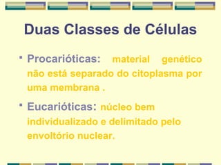 Duas Classes de Células
   Procarióticas:   material genético
    não está separado do citoplasma por
    uma membrana .
   Eucarióticas: núcleo bem
    individualizado e delimitado pelo
    envoltório nuclear.
 