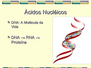 Àcidos Nucléicos
DNA: A Molécula da
Vida


DNA → RNA →
Proteína
 