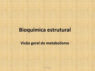 Bioquímica estrutural

Visão geral do metabolismo




            Profª Kasue
 
