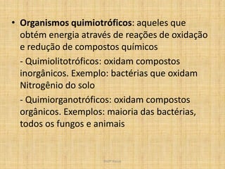 • Organismos quimiotróficos: aqueles que
  obtém energia através de reações de oxidação
  e redução de compostos químicos
  - Quimiolitotróficos: oxidam compostos
  inorgânicos. Exemplo: bactérias que oxidam
  Nitrogênio do solo
  - Quimiorganotróficos: oxidam compostos
  orgânicos. Exemplos: maioria das bactérias,
  todos os fungos e animais


                     Profª Kasue
 