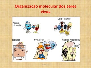 Organização molecular dos seres
             vivos




             Profª Kasue
 