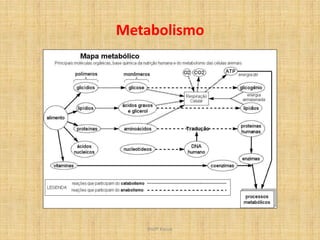 Metabolismo




   Profª Kasue
 