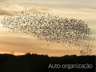 Auto-organização
 