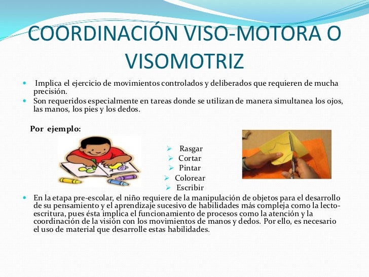 Visomotora