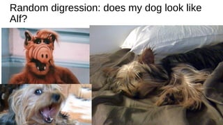 Random digression: does my dog look like
Alf?
 