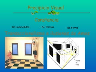 Precipicio Visual Constancia - De Luminosidad  - De Tamaño  - De Forma Transaccionalismo e ilusiones de Ames 