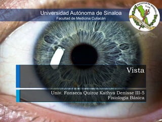 Universidad Autónoma de Sinaloa
Facultad de Medicina Culiacán

Vista
Univ. Fonseca Quiroz Kathya Denisse III-5
Fisiología Básica

 