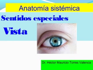 Anatomía sistémica
Dr. Héctor Mauricio Torres Valencia
Sentidos especiales
Vista
 