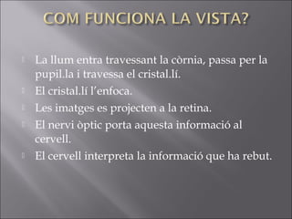  La llum entra travessant la còrnia, passa per la
pupil.la i travessa el cristal.lí.
 El cristal.lí l’enfoca.
 Les imatges es projecten a la retina.
 El nervi òptic porta aquesta informació al
cervell.
 El cervell interpreta la informació que ha rebut.
 