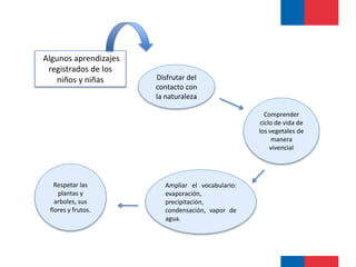 Disfrutar del 
contacto con 
la naturaleza 
Respetar las 
plantas y 
arboles, sus 
flores y frutos. 
Ampliar el vocabulario: 
evaporación, 
precipitación, 
condensación, vapor de 
agua.: 
Comprender 
ciclo de vida de 
los vegetales de 
manera 
vivencial 
Algunos aprendizajes 
registrados de los 
niños y niñas 
 