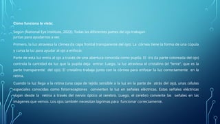 Comprehensive Study of Human Eye Anatomy and Physiology of Vision | PPTX