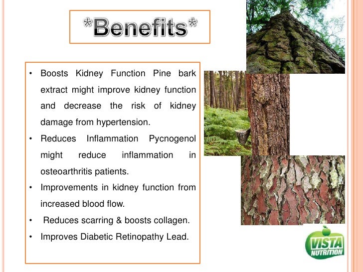Vista nutrition pine bark extract