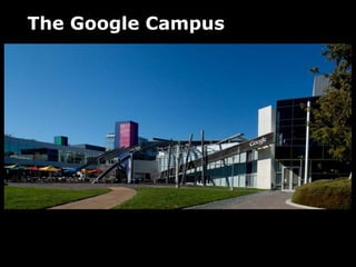 The Google Campus
 