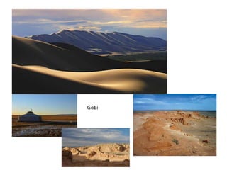 Gobi
 