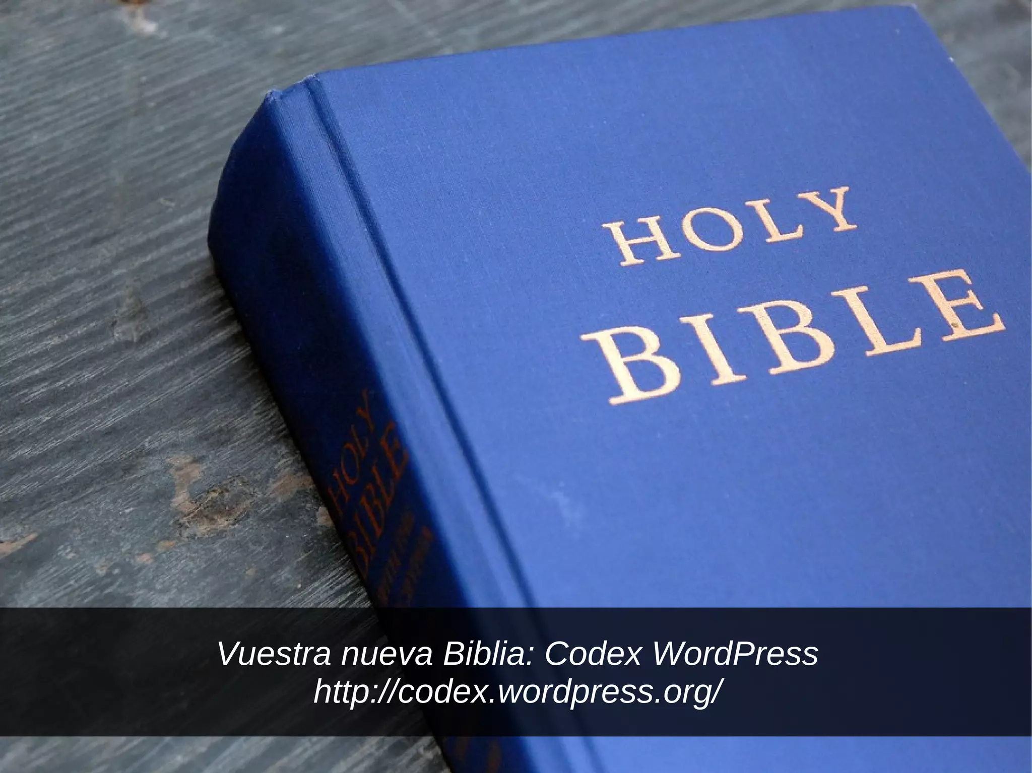 Vuestra nueva Biblia: Codex WordPress
      http://codex.wordpress.org/
 