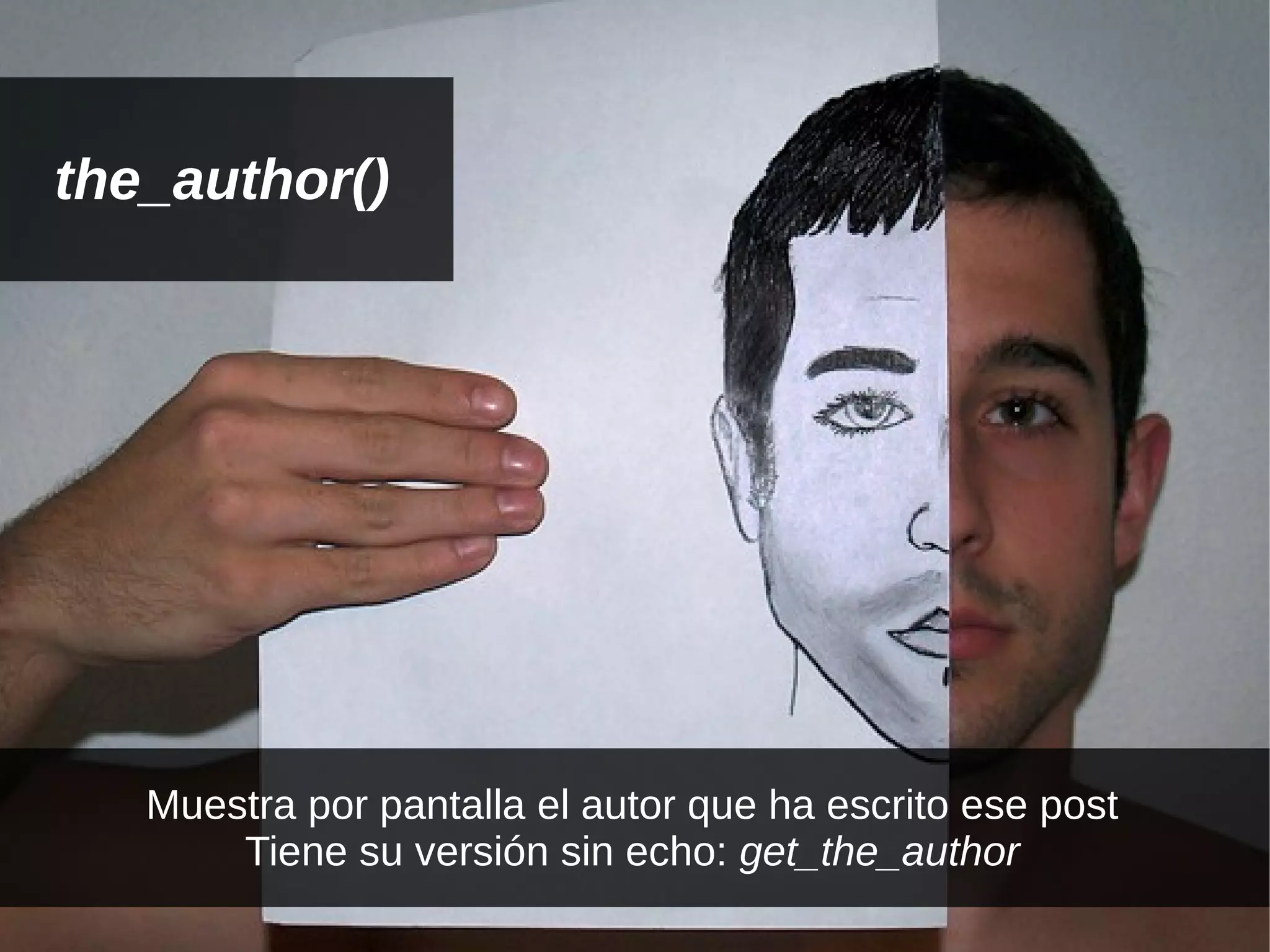 the_author()




   Muestra por pantalla el autor que ha escrito ese post
       Tiene su versión sin echo: get_the_author
 