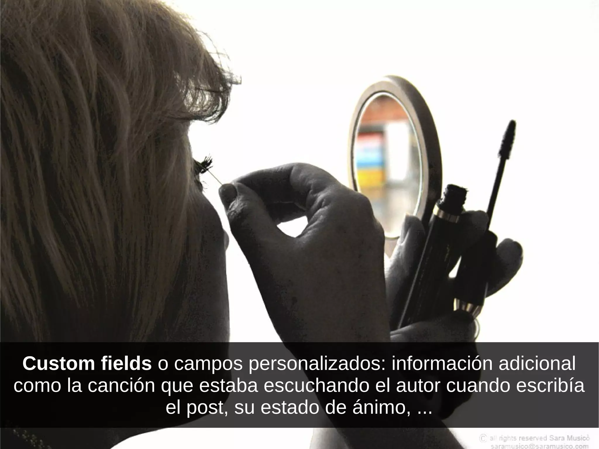 Custom fields o campos personalizados: información adicional
como la canción que estaba escuchando el autor cuando escribía
                el post, su estado de ánimo, ...
 