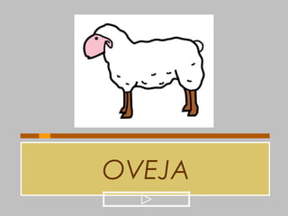 OVEJA
 
