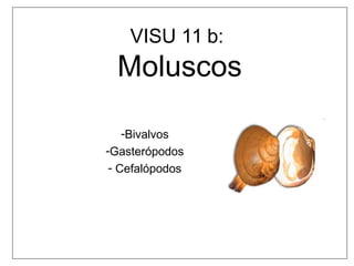 VISU 11 b:
Moluscos
-Bivalvos
-Gasterópodos
- Cefalópodos
 