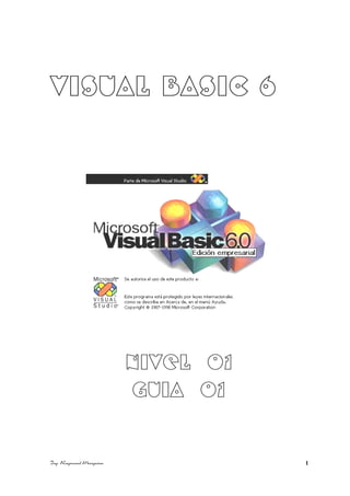 VISUAL BASIC 6 
NIVEL 01 
GUIA 01 
Ing. Raymond Marquina 1 
 