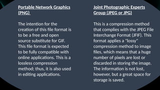 Computer Expert Gpeg Format Visual-design-1..pptx and imagine file format | PPTX