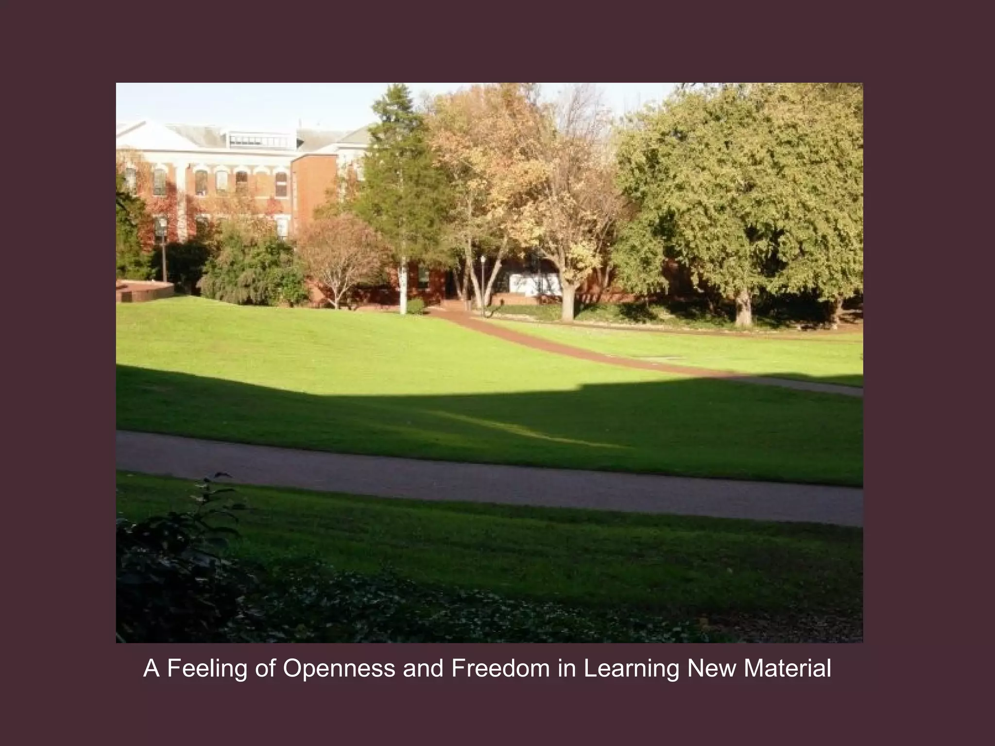 A Feeling of Openness and Freedom in Learning New Material