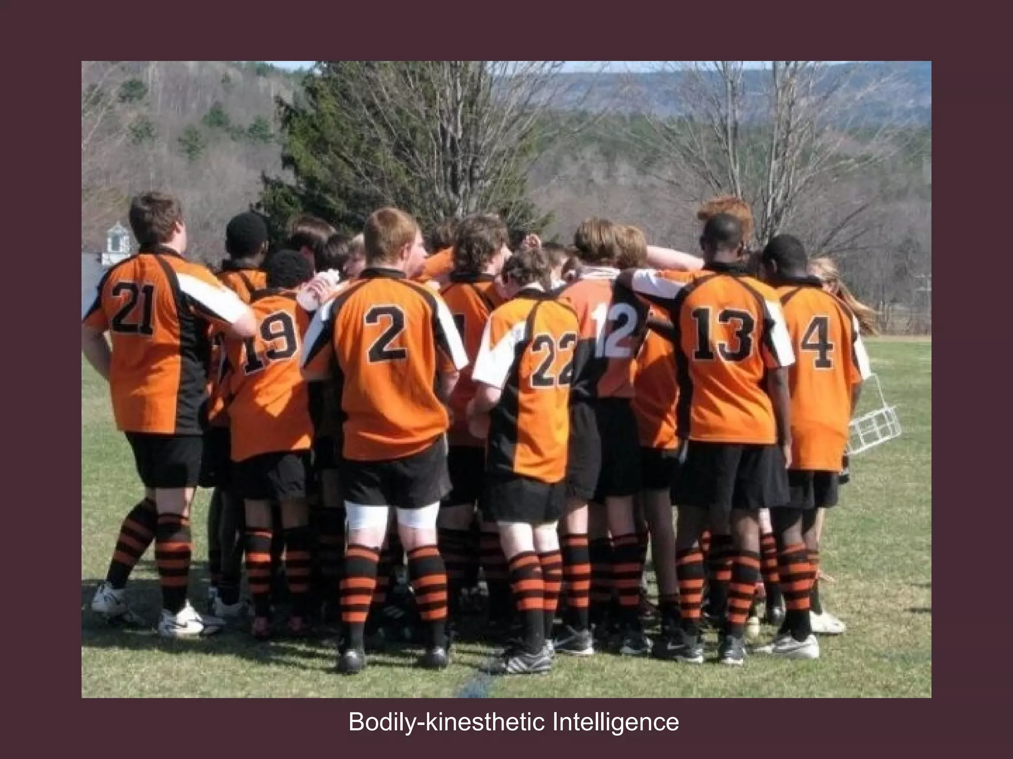 Bodily-kinesthetic Intelligence