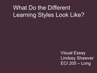 Visual Essay Lindsey Shawver ECI 205 – Long What Do the Different  Learning Styles Look Like? 