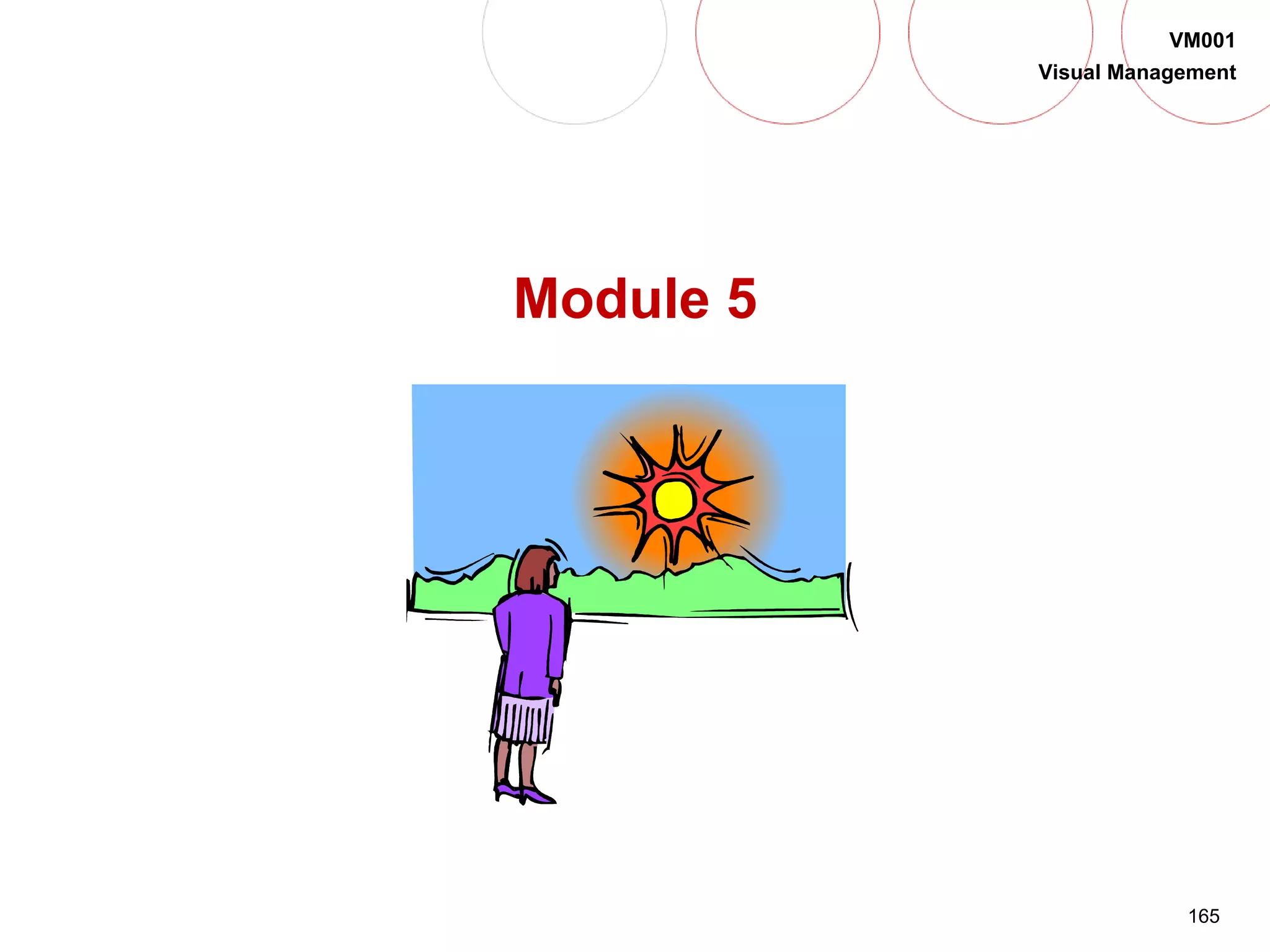 165
VM001
Visual Management
Module 5
 