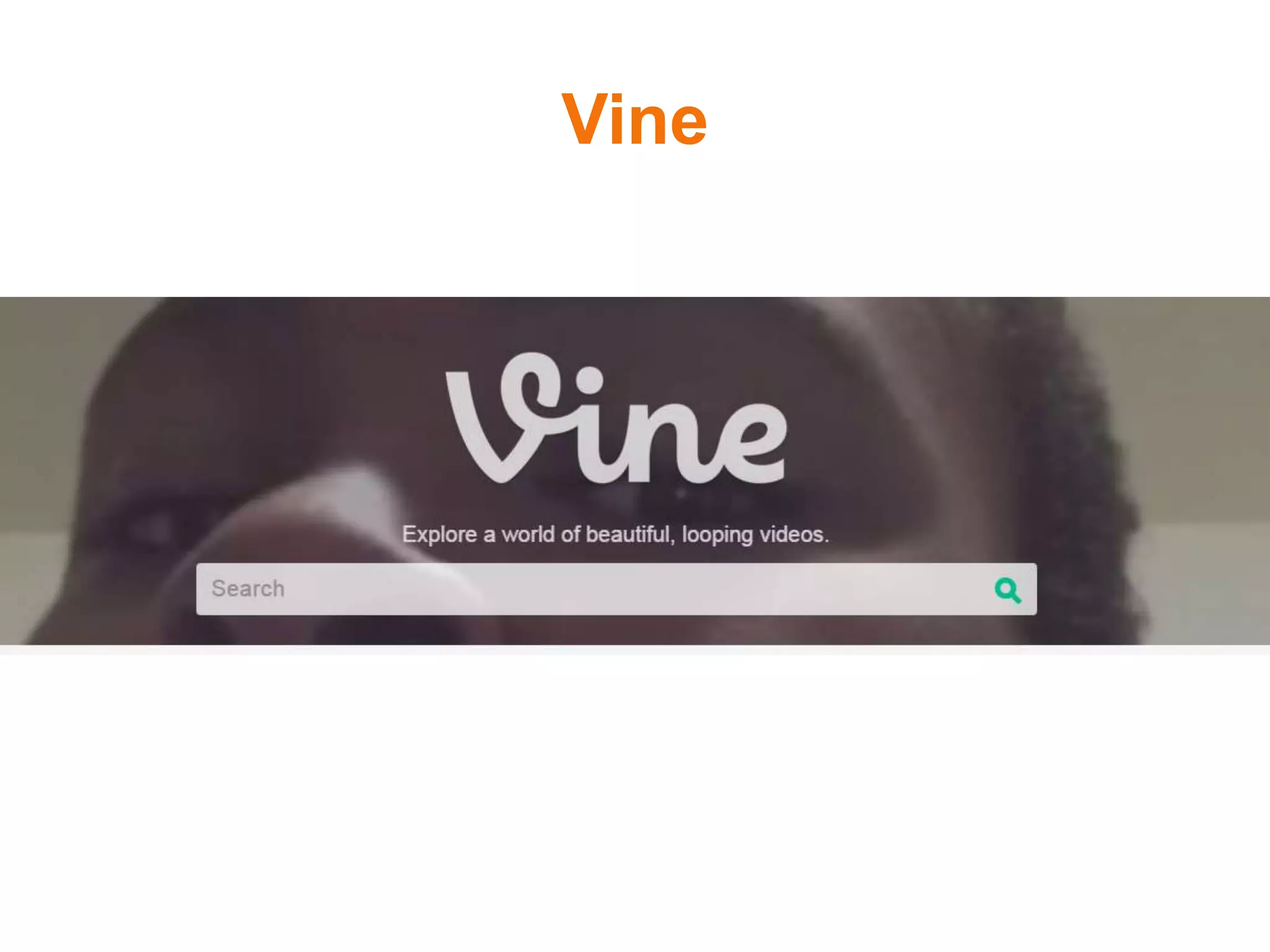 Vine
 