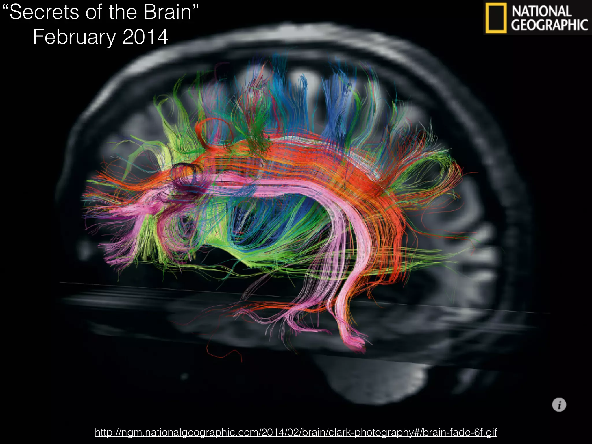 http://ngm.nationalgeographic.com/2014/02/brain/clark-photography#/brain-fade-6f.gif
“Secrets of the Brain”
February 2014
 