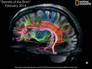 http://ngm.nationalgeographic.com/2014/02/brain/clark-photography#/brain-fade-6f.gif
“Secrets of the Brain”
February 2014
 