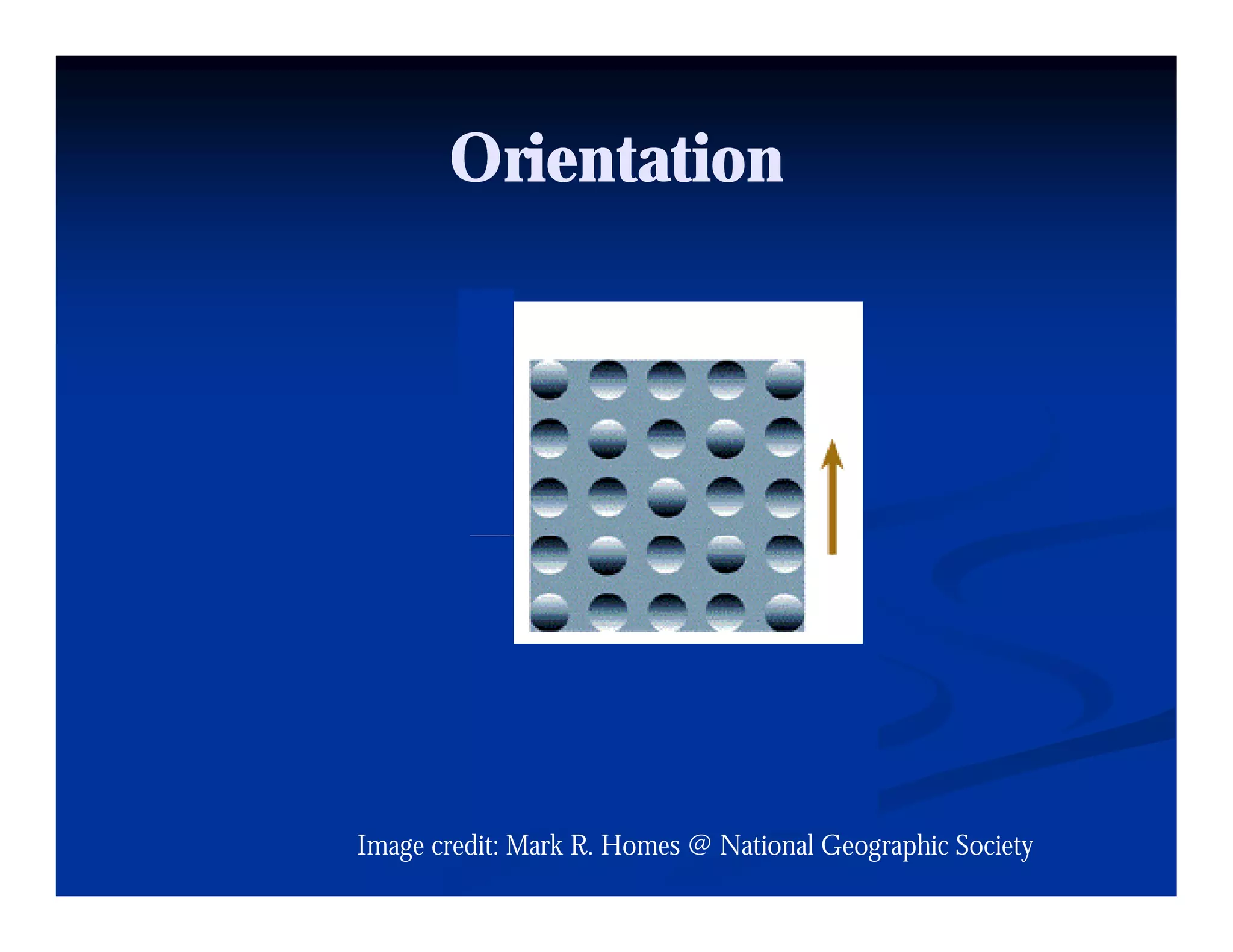 Orientation




Image credit: Mark R. Homes @ National Geographic Society
 