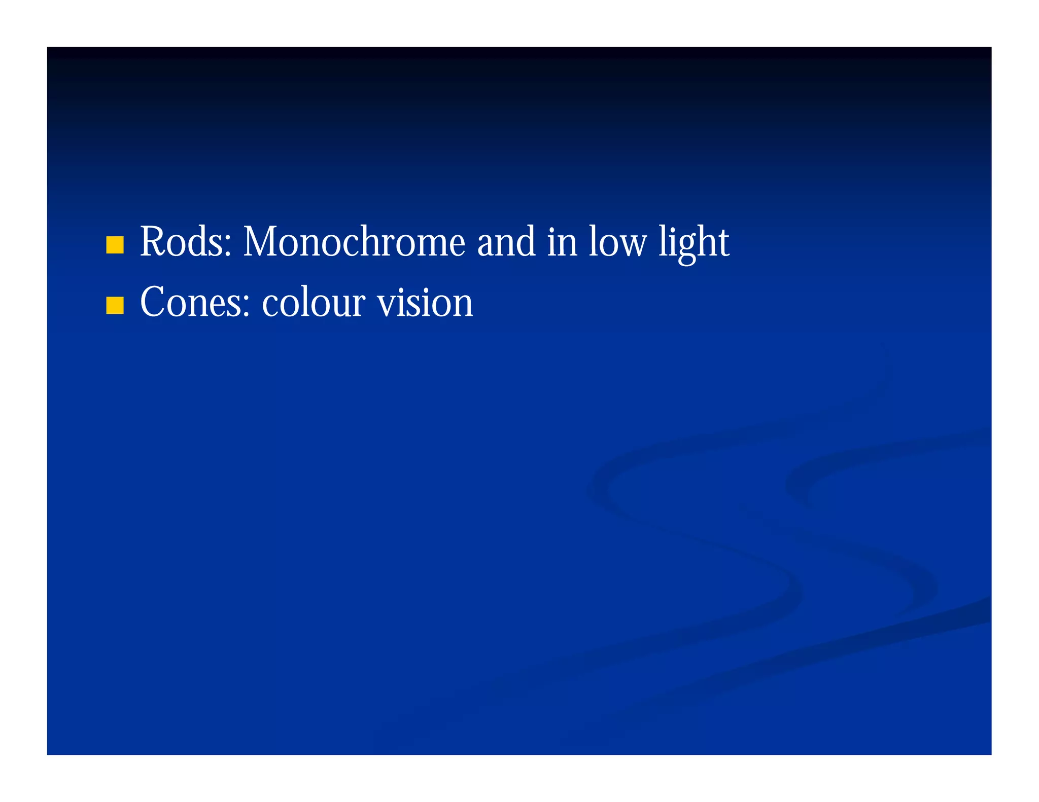 Rods: Monochrome and in low light
Cones: colour vision
 