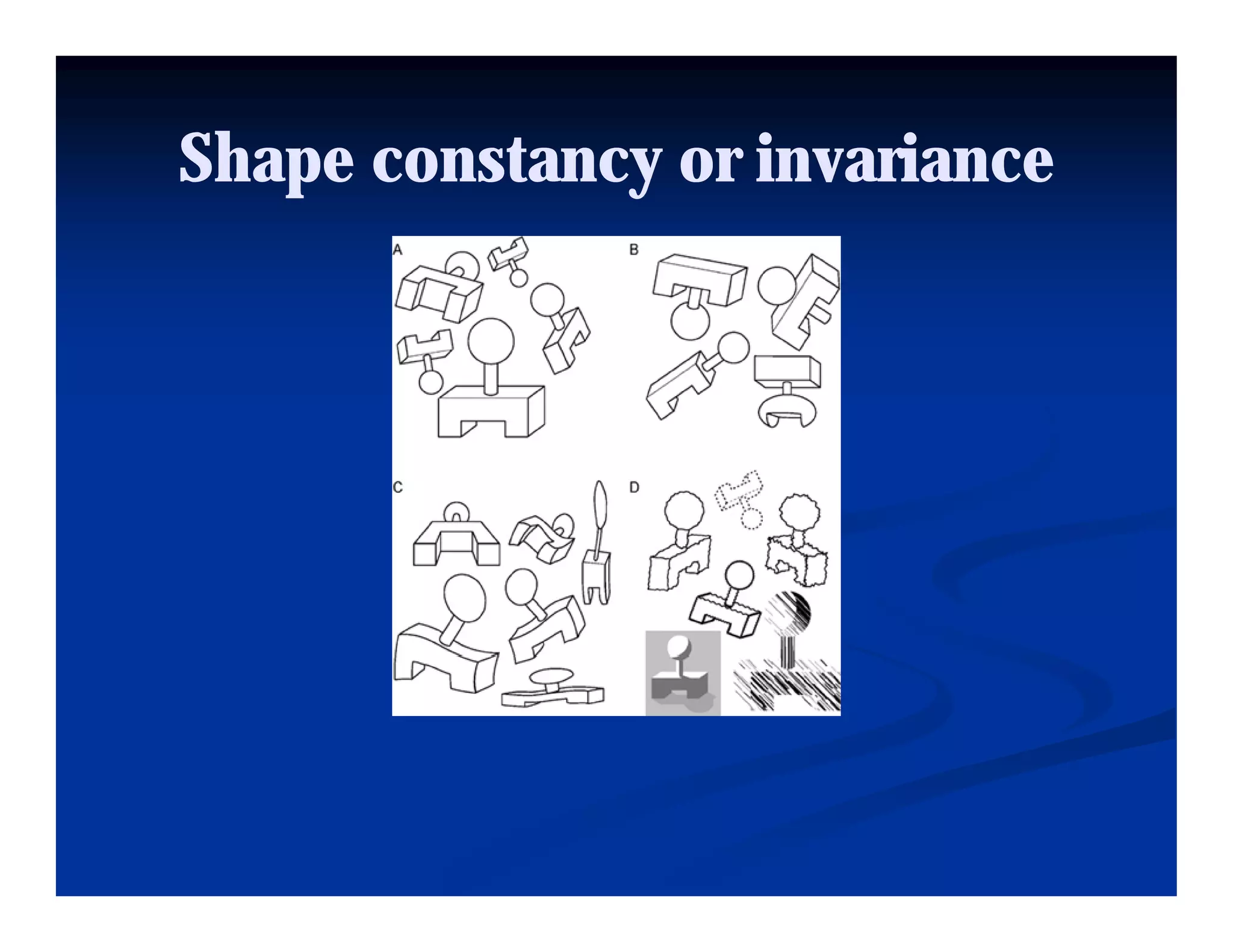 Shape constancy or invariance
 