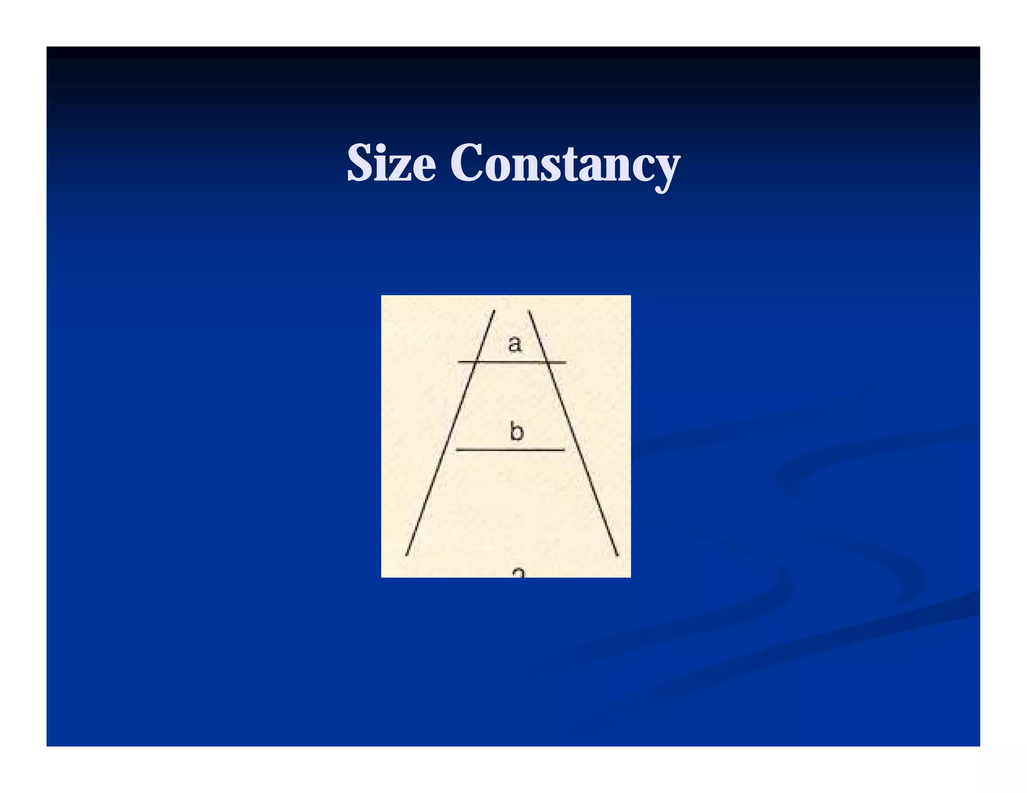 Size Constancy
 