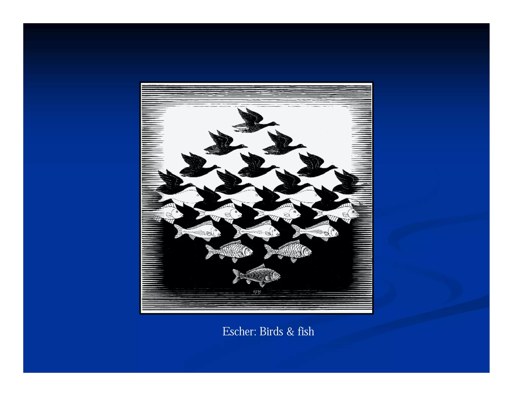 Escher: Birds & fish
 
