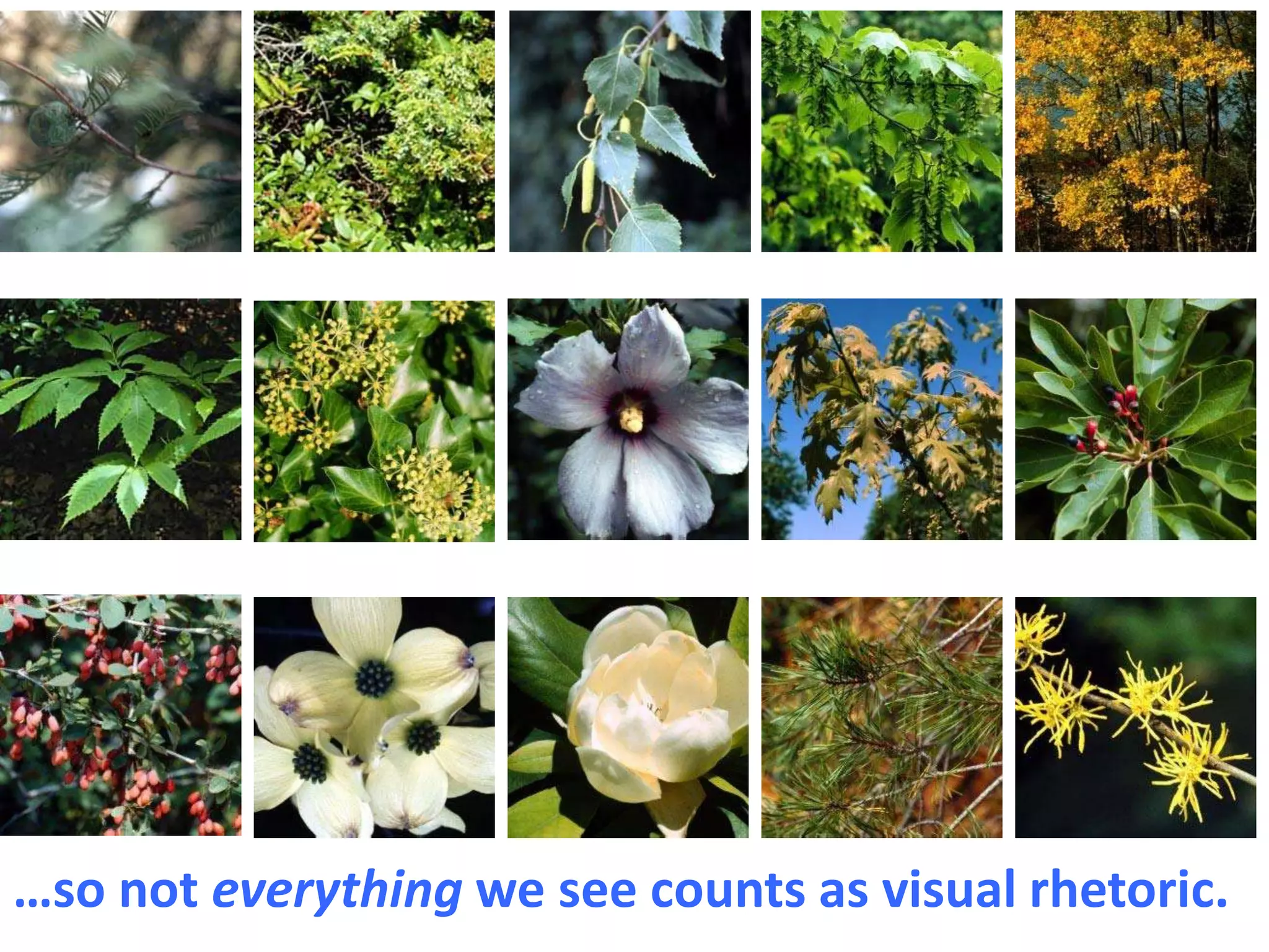 …so not everything we see counts as visual rhetoric.