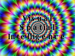 Visual Spatial Intelligence 