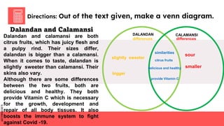 SLIDESMANIA.COM
SLIDESMANIA.COM
Directions: Out of the text given, make a venn diagram.
Dalandan and calamansi are both
citrus fruits, which has juicy flesh and
a pulpy rind. Their sizes differ,
dalandan is bigger than a calamansi.
When it comes to taste, dalandan is
slightly sweeter than calamansi. Their
skins also vary.
Although there are some differences
between the two fruits, both are
delicious and healthy. They both
provide Vitamin C which is necessary
for the growth, development and
repair of all body tissues. It also
boosts the immune system to fight
against Covid -19.
DALANDAN CALAMANSI
differences differences
Dalandan and Calamansi
similarities
citrus fruits
delicious and healthy
slightly sweeter
bigger
smaller
sour
provide Vitamin C
 