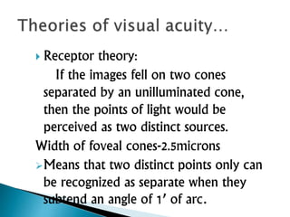  Receptor theory:
If the images fell on two cones
separated by an unilluminated cone,
then the points of light would be
perceived as two distinct sources.
Width of foveal cones-2.5microns
Means that two distinct points only can
be recognized as separate when they
subtend an angle of 1’ of arc.
 