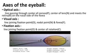 Axes of the eyeball:
• Optical axis :
line passing through center of cornea(P), center of lens(N) and meets the
retina(R) on the nasal side of the fovea
• Visual axis :
line joining fixation point(O), nodal point(N) & fovea(F).
• Fixation axis :
line joining fixation point(O) & center of rotation(C).
 