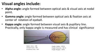 Visual angles include:
• Alpha angle: angle formed between optical axis & visual axis at nodal
point.
• Gamma angle: angle formed between optical axis & fixation axis at
center of rotation of eyeball.
• Kappa angle: angle formed between visual axis & pupillary line.
Practically, only kappa angle is measured and has clinical significance
 